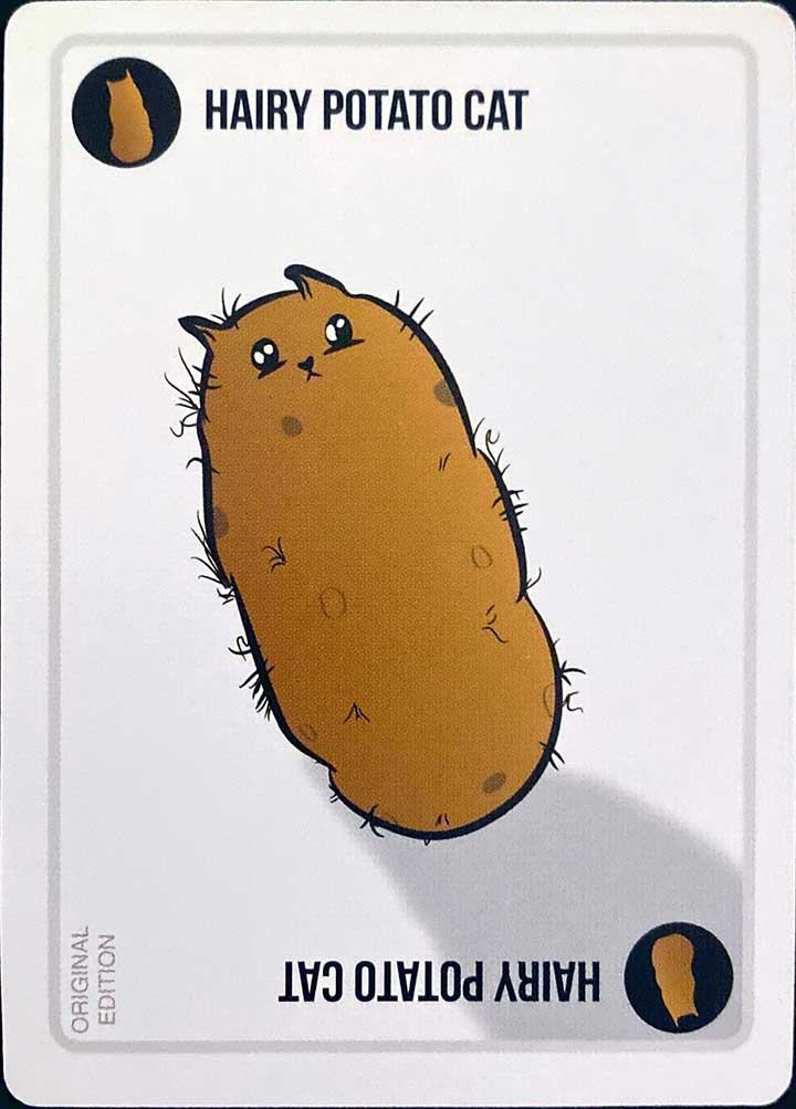 Cat Card - Variant 10
